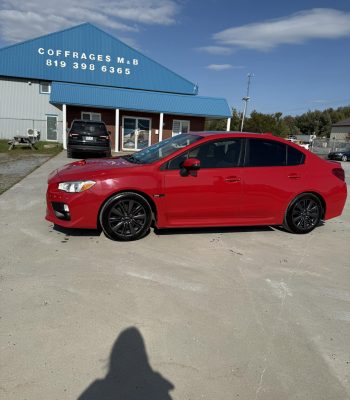 549685132_122272223228224371_3495303365170214400_n